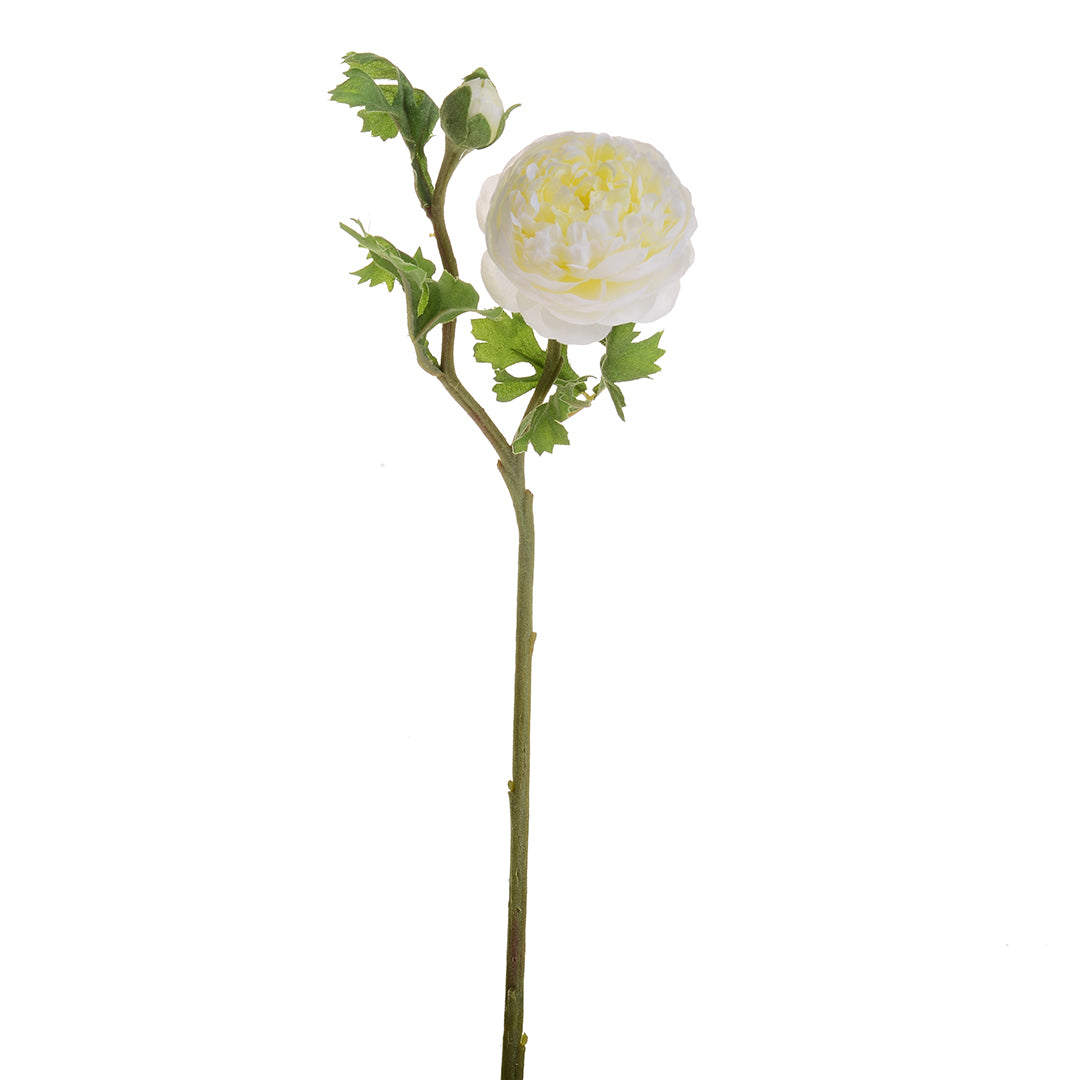 Ranuncolo per 2 fiori • 46 cm