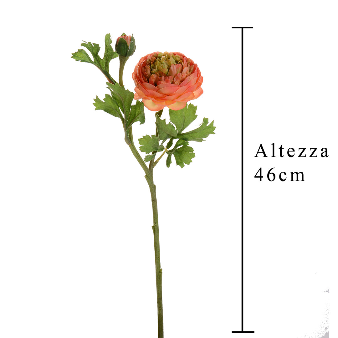 Ranuncolo per 2 fiori • 46 cm
