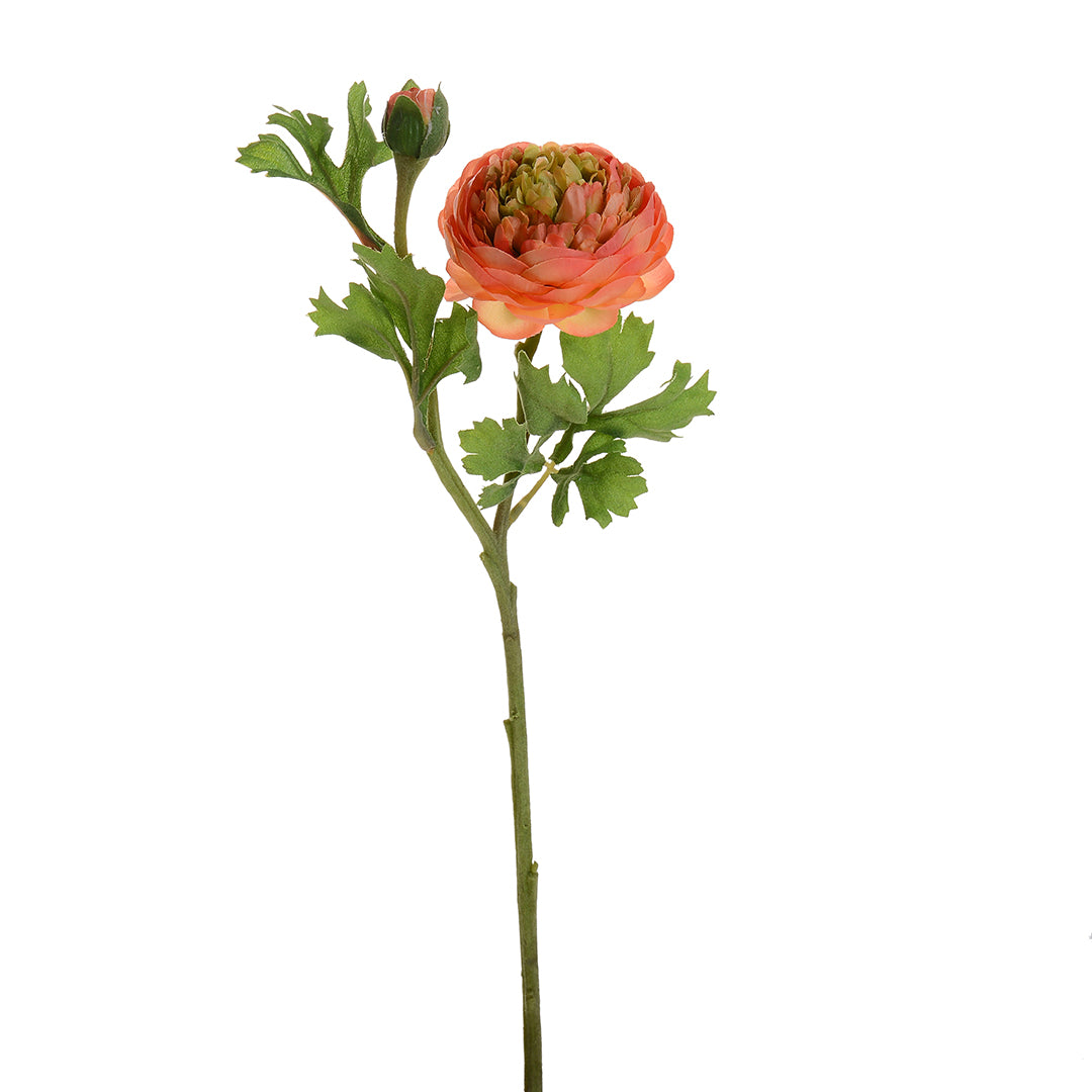 Ranuncolo per 2 fiori • 46 cm