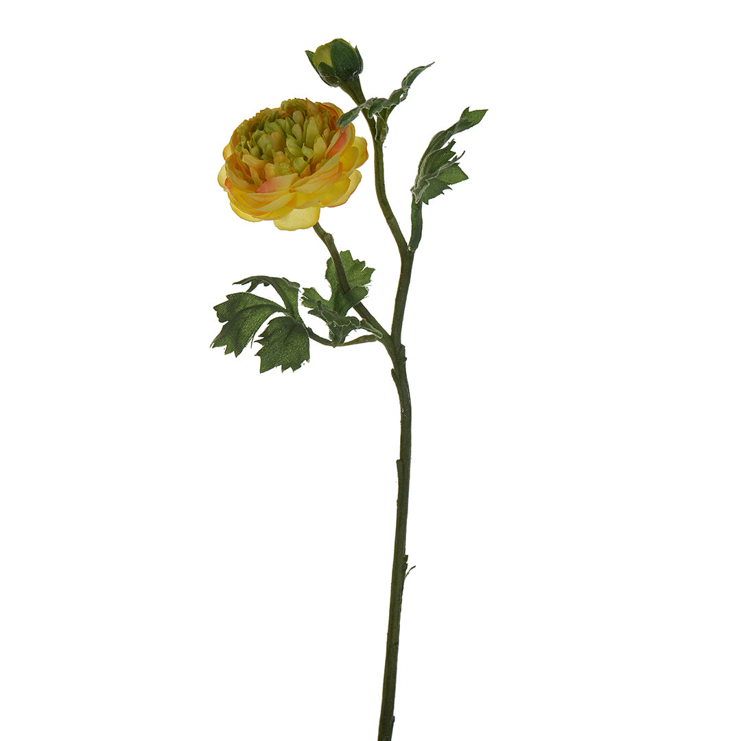 Ranuncolo per 2 fiori • 46 cm
