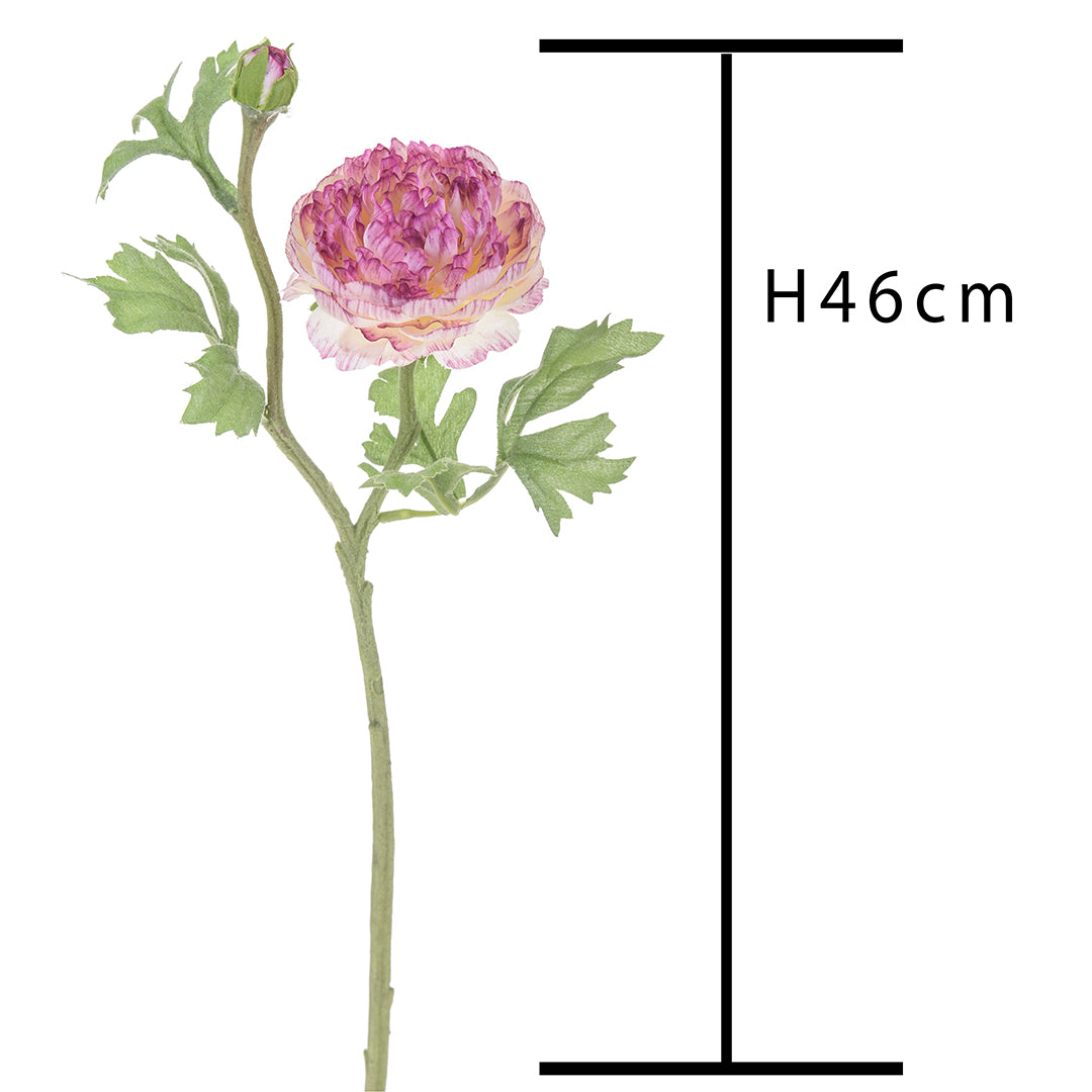 Ranuncolo per 2 fiori • 46 cm
