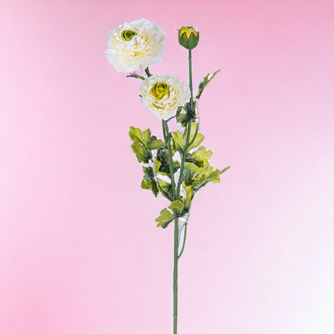 Ranuncolo per 3 fiori • 45 cm