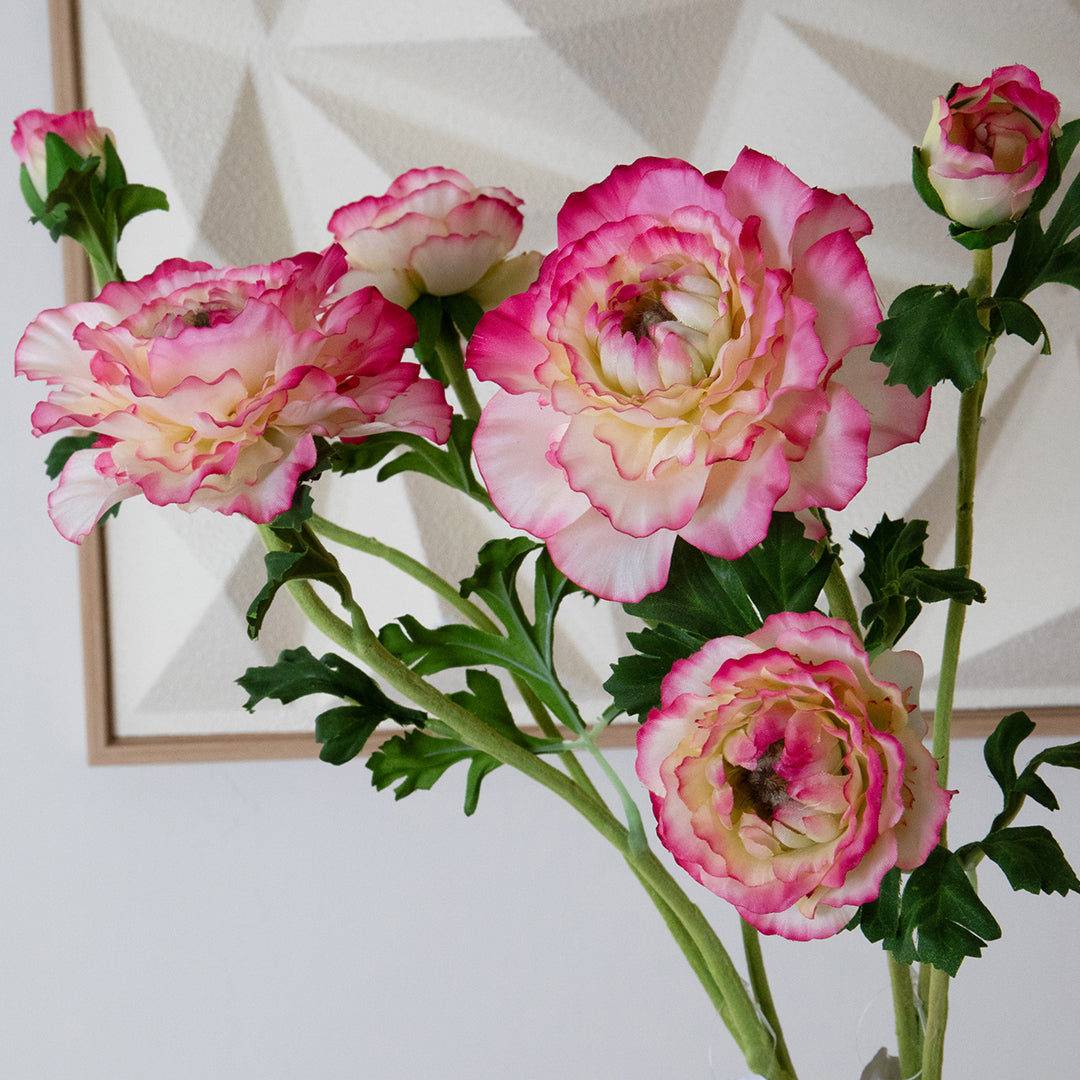 Ranuncolo per 3 fiori • 45 cm