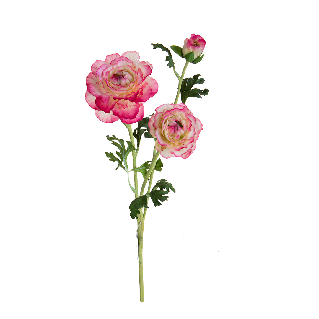 Ranuncolo per 3 fiori • 45 cm