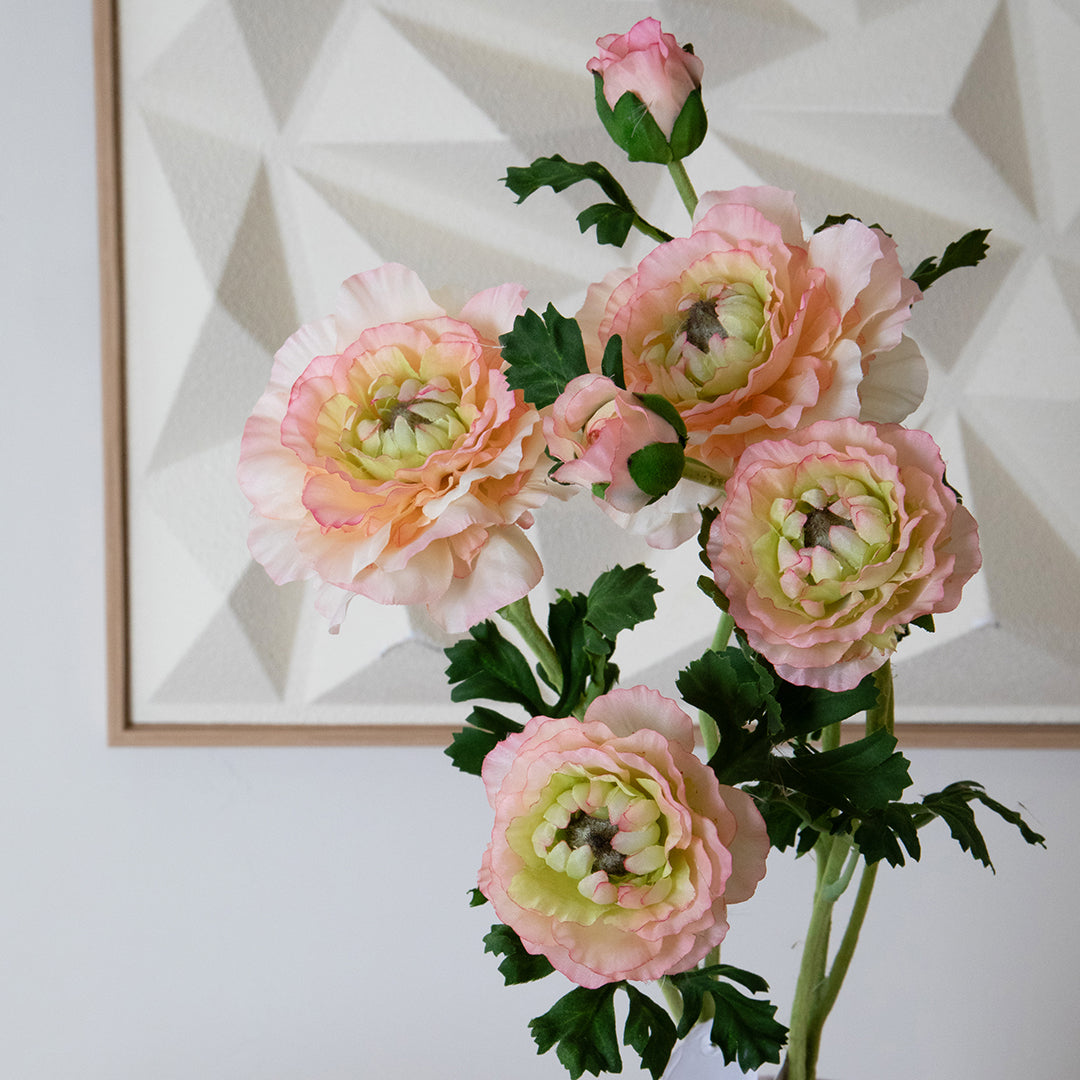 Ranuncolo per 3 fiori • 45 cm