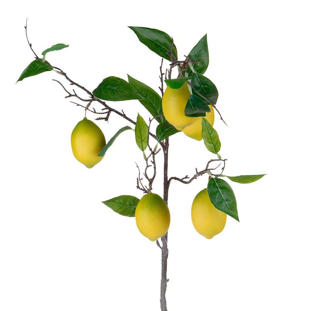 2 Pezzi • Ramo con Limoni artificiale • 90 cm