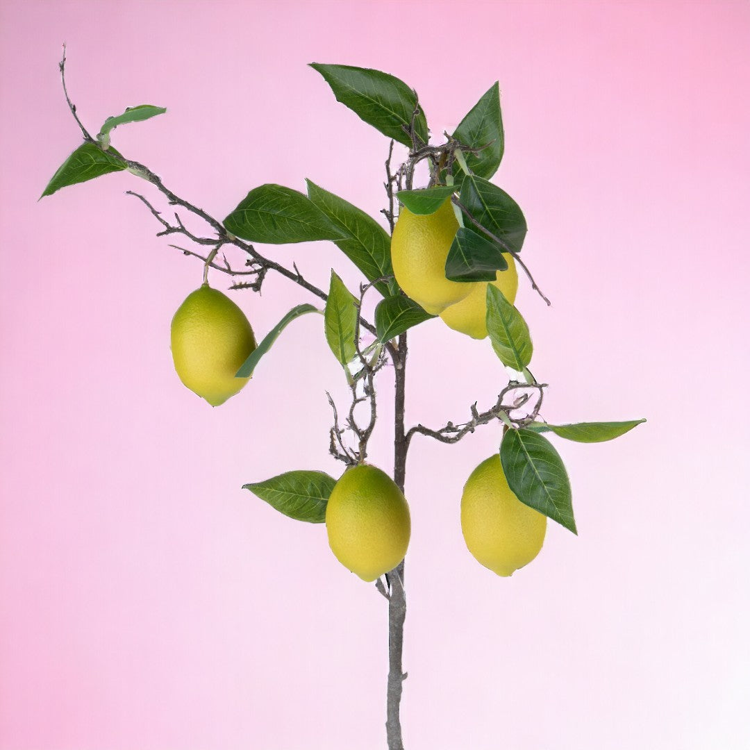 2 Pezzi • Ramo con Limoni artificiale • 90 cm