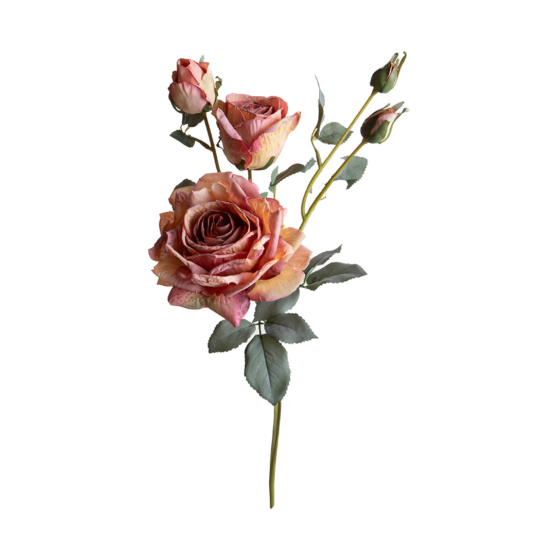 Rosa per 5 fiori Dry Look • 65 cm