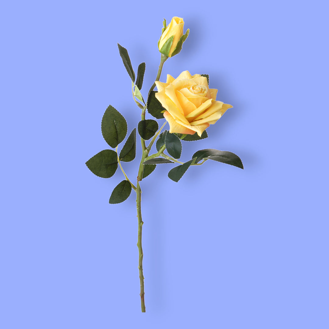 Rosa per 5 fiori Dry Look • 65 cm