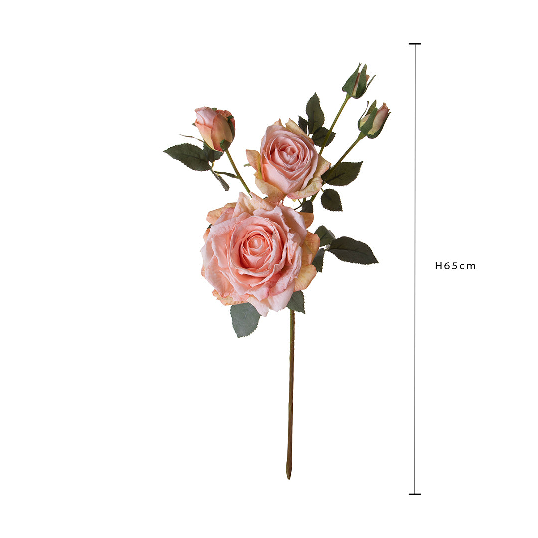 Rosa per 5 fiori Dry Look • 65 cm