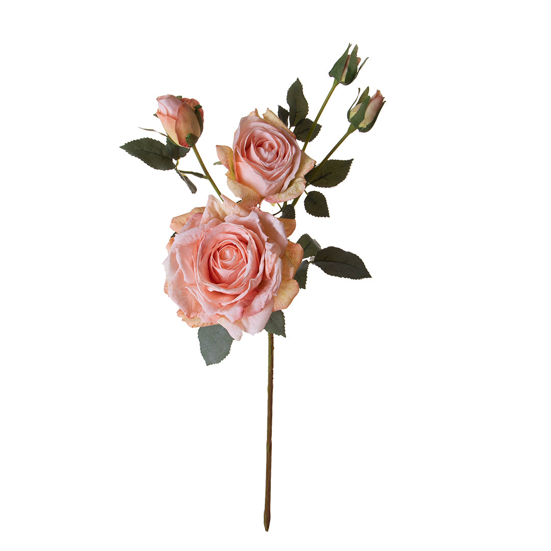 Rosa per 5 fiori Dry Look • 65 cm