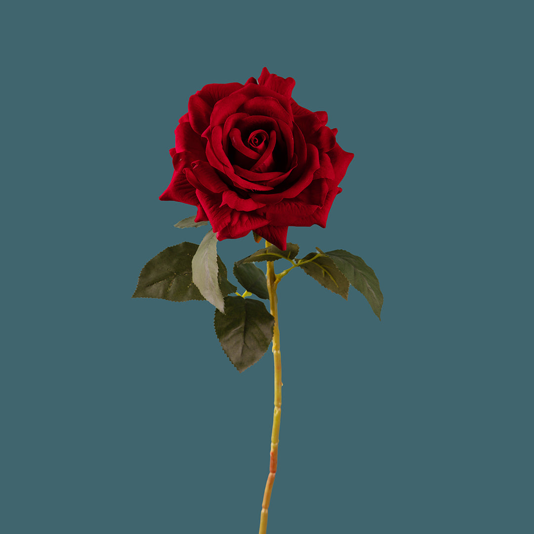 8 Pezzi • Rose artificiali in velluto • 75 cm