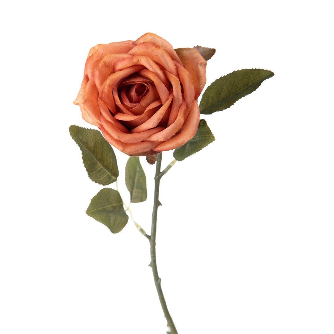 8 Pezzi • Rose artificiali aperte • 51 cm