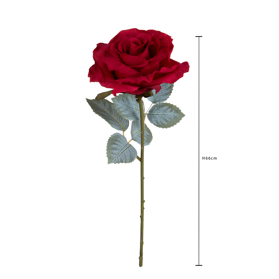 Rosa con 11 Foglie Aperta • 66 cm