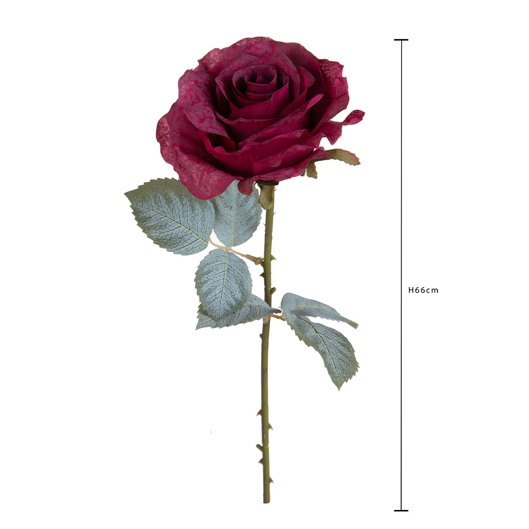 Rosa con 11 Foglie Aperta • 66 cm