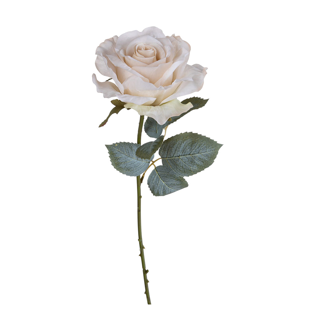 Rosa con 11 Foglie Aperta • 66 cm