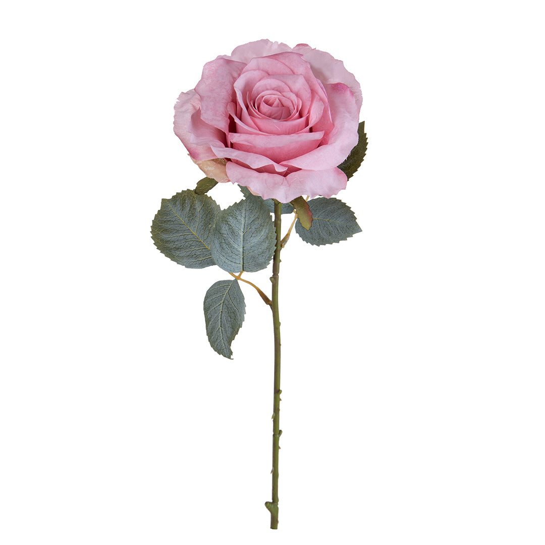 Rosa con 11 Foglie Aperta • 66 cm