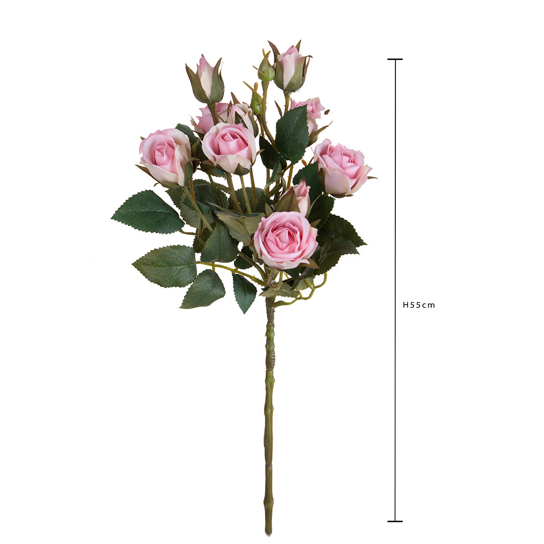 Rosa Inglese con 6 Fiori E 4 Bocci • 55 cm
