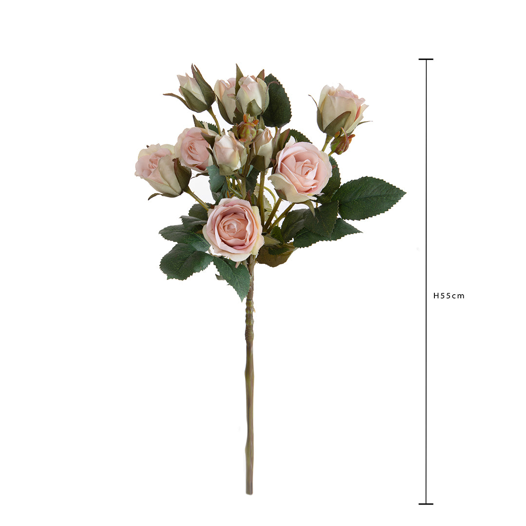Rosa Inglese con 6 Fiori E 4 Bocci • 55 cm