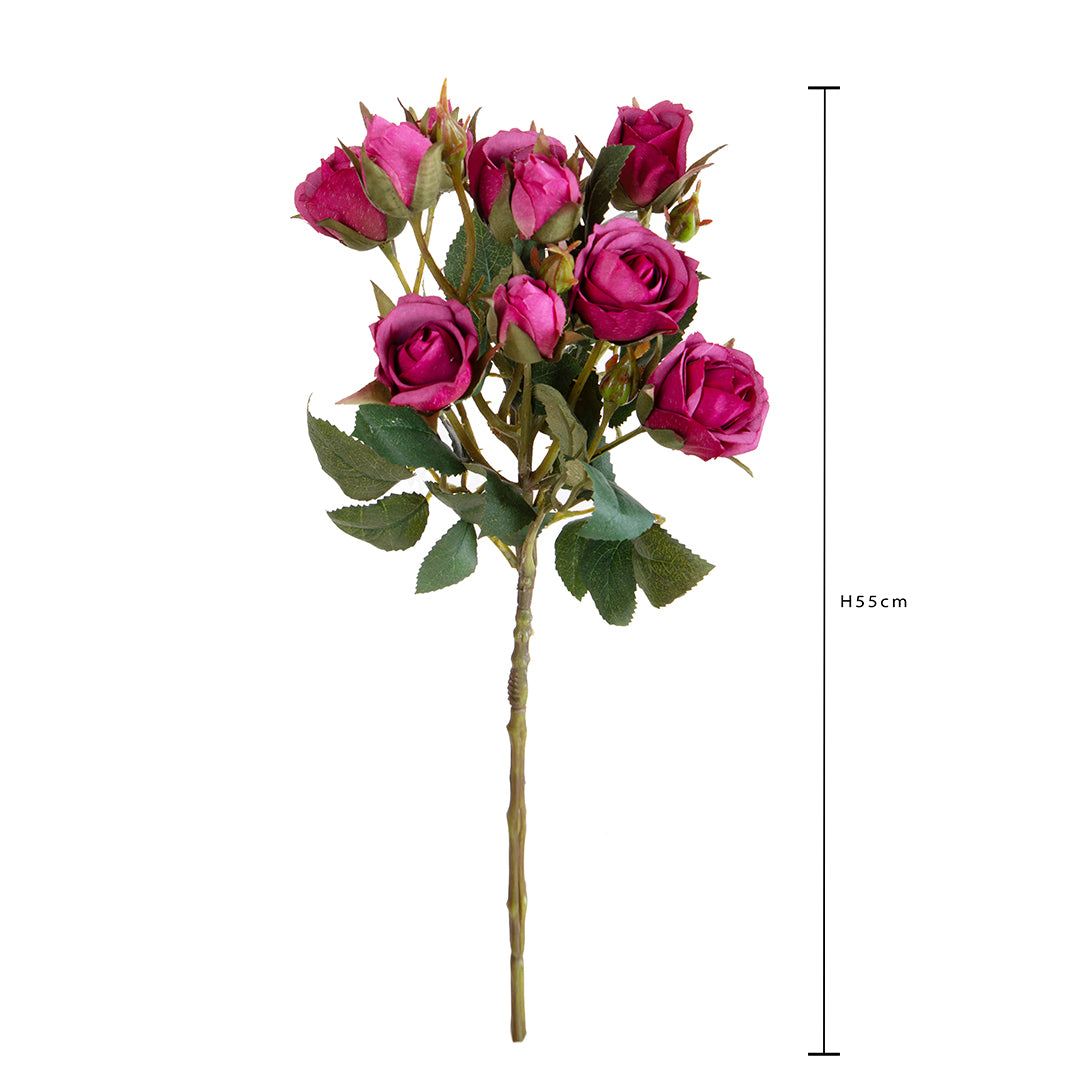 Rosa Inglese con 6 Fiori E 4 Bocci • 55 cm
