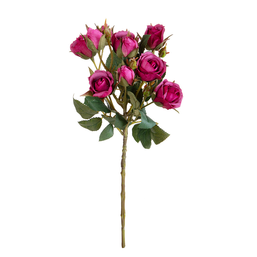 Rosa Inglese con 6 Fiori E 4 Bocci • 55 cm