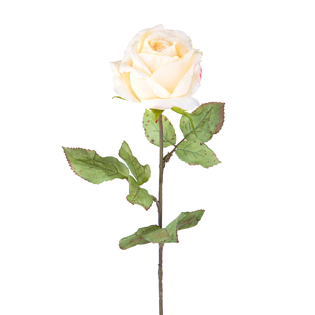 4 Pezzi • Rose artificiali con dry • 62 cm