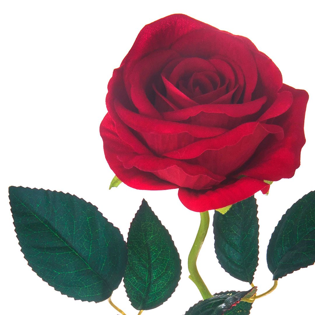 4 Pezzi • Rose artificiali velvet singole • 55 cm