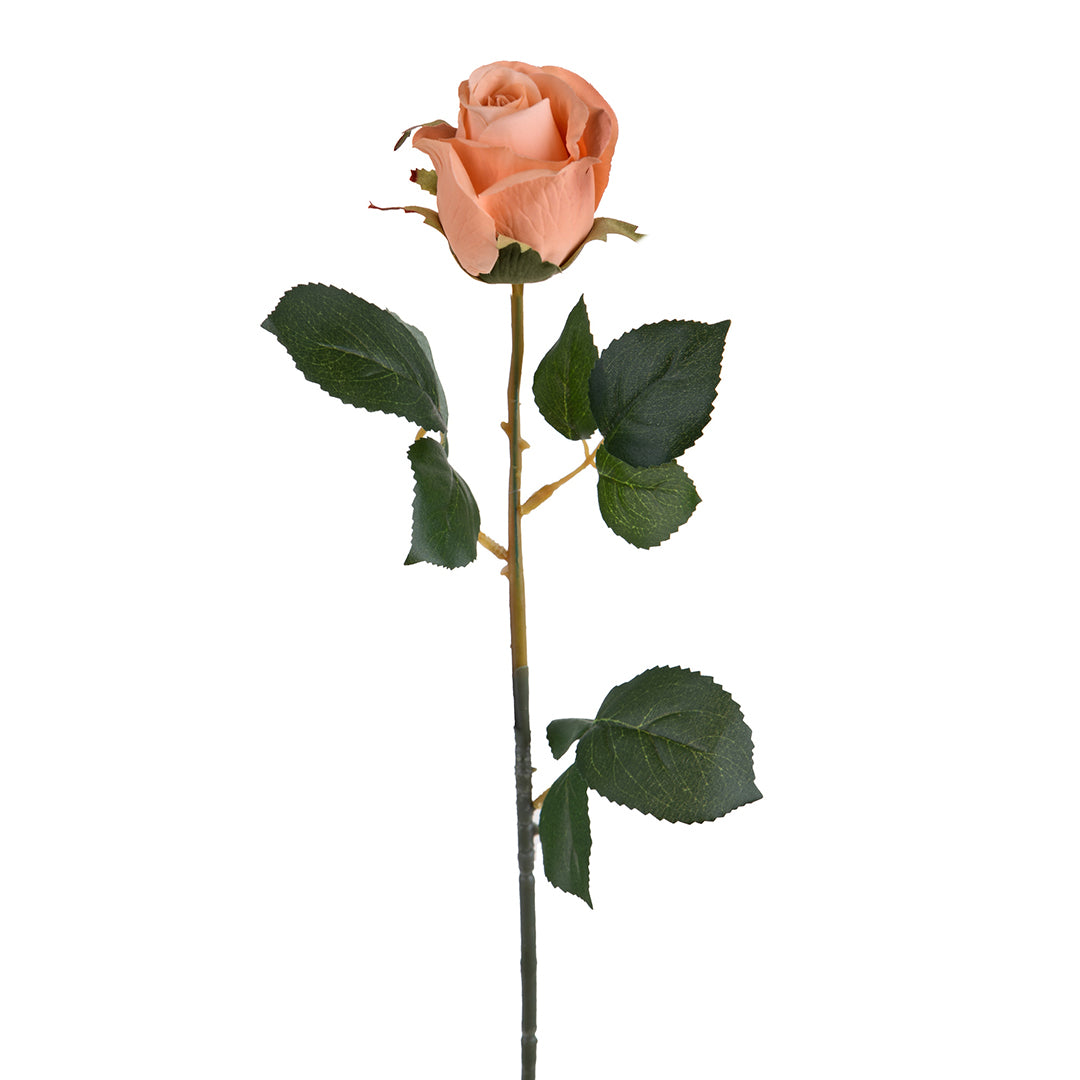 8 Pezzi • Rose artificiali bacarat • 67 cm