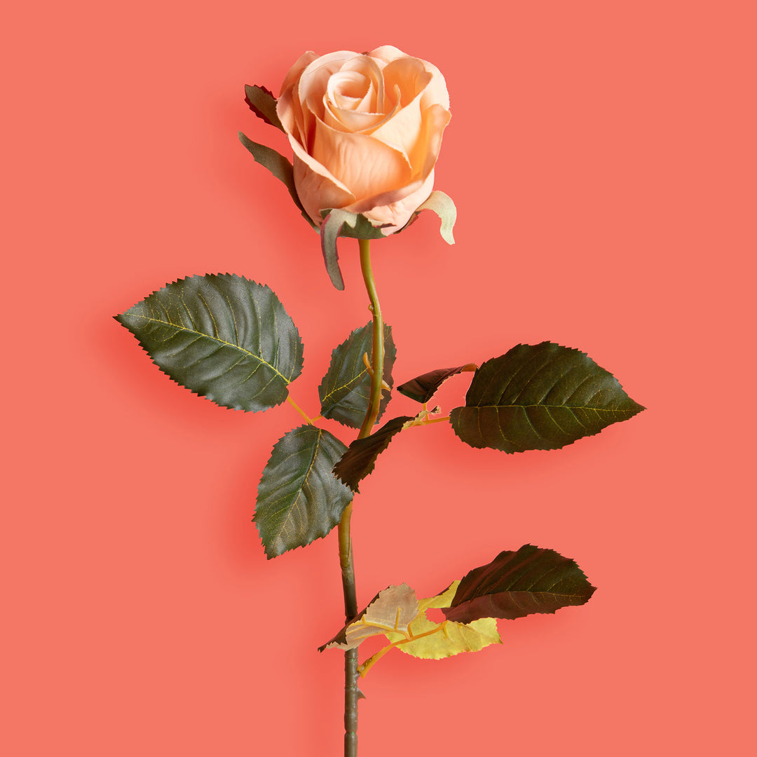 8 Pezzi • Rose artificiali bacarat • 67 cm
