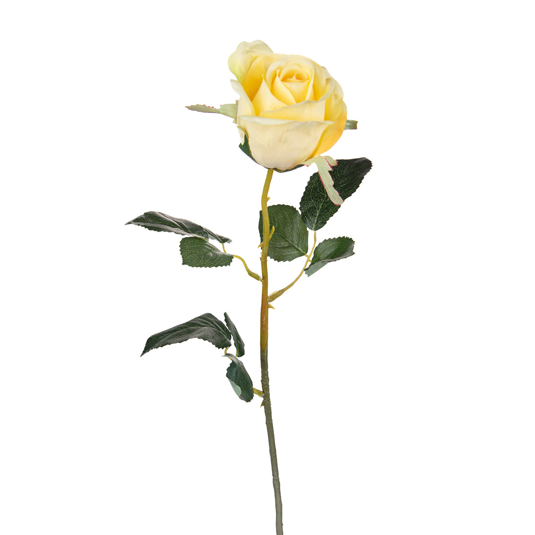 8 Pezzi • Rose artificiali bacarat • 67 cm