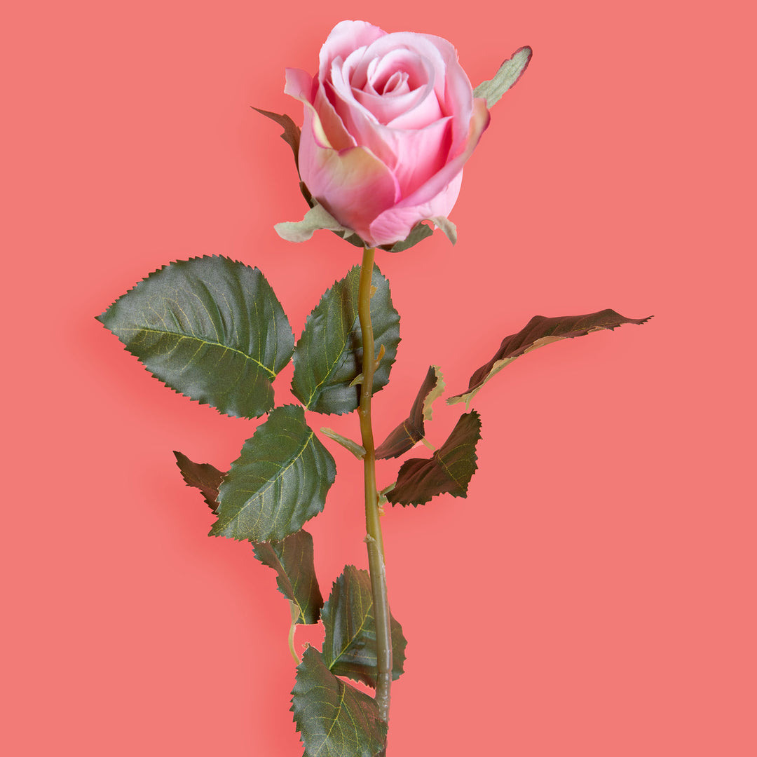 8 Pezzi • Rose artificiali bacarat • 67 cm