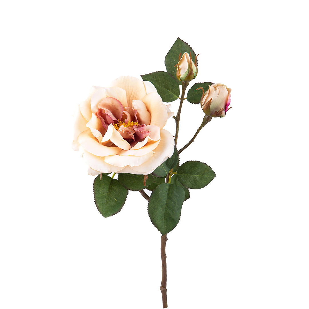 3 Pezzi • Rose artificiali inglese • 48 cm