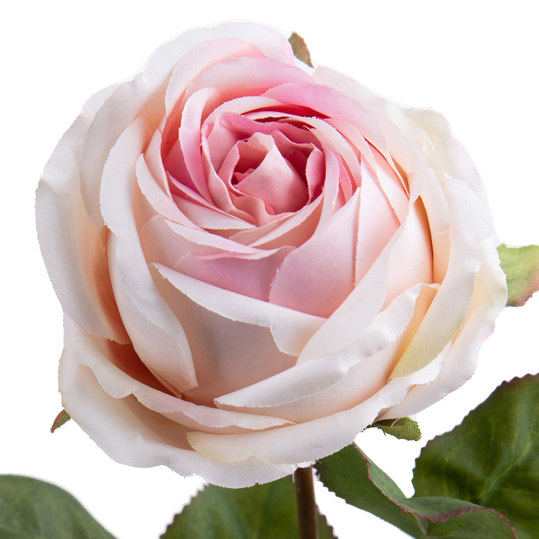 4 Pezzi • Rose artificiali singole • 67 cm