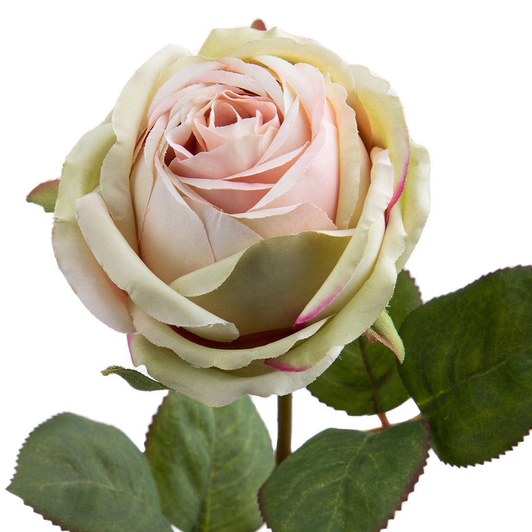 4 Pezzi • Rose artificiali singole • 67 cm