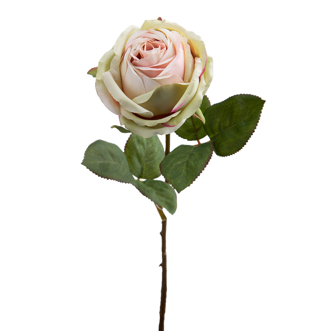 4 Pezzi • Rose artificiali singole • 67 cm