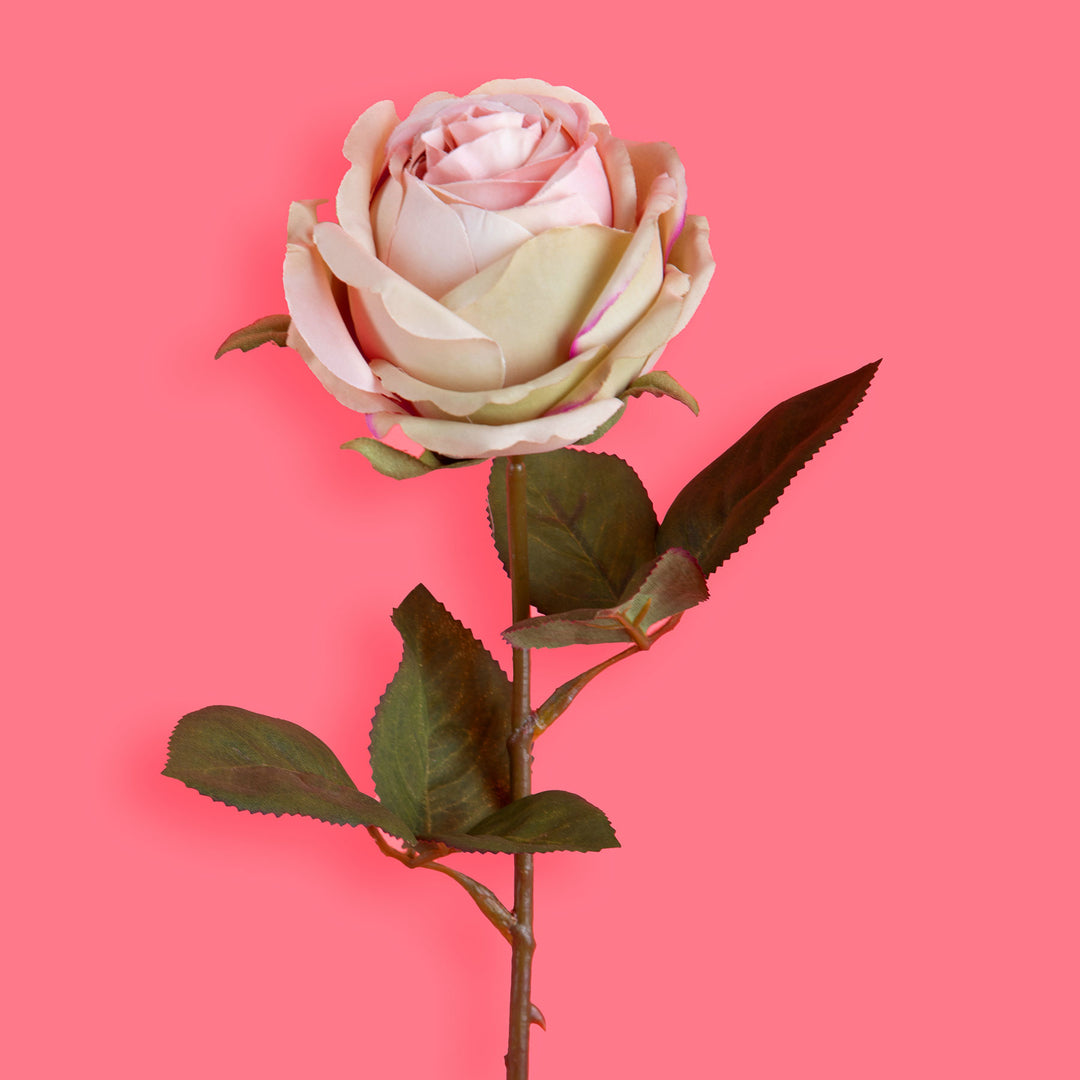 8 Pezzi • Rose artificiali singole • 67 cm