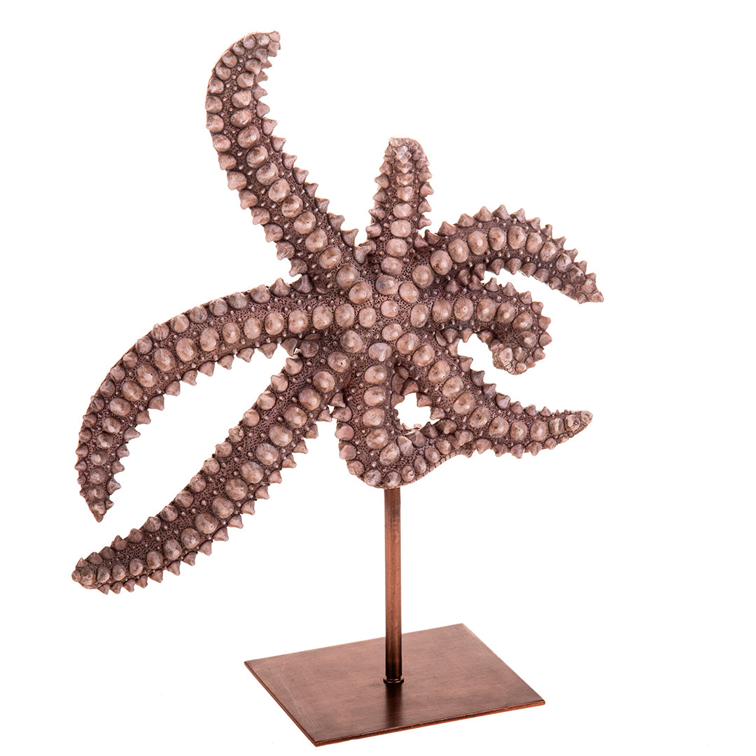 Stella marina resina • 34 cm