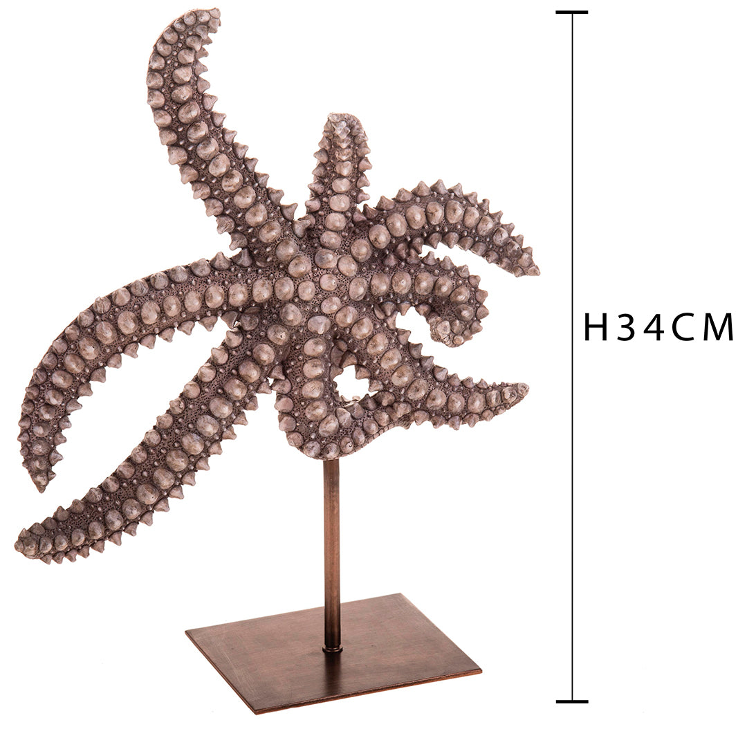 Stella marina resina • 34 cm