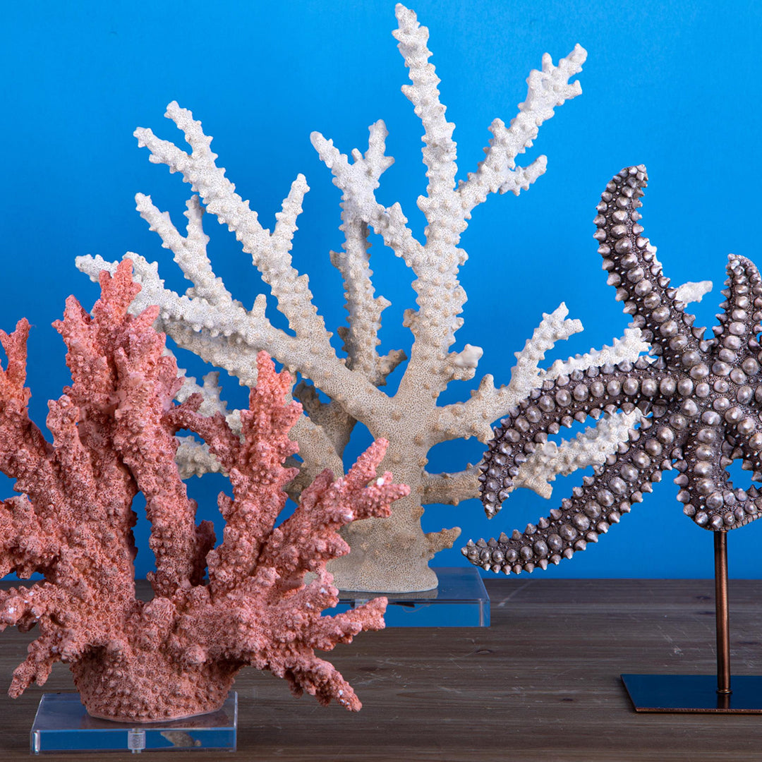 Stella marina resina • 34 cm