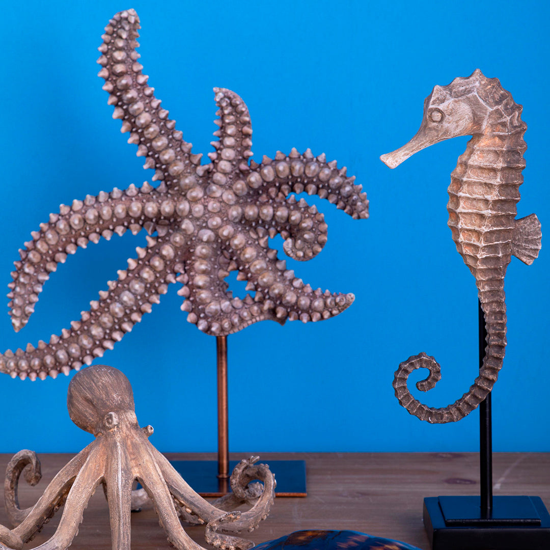 Stella marina resina • 34 cm