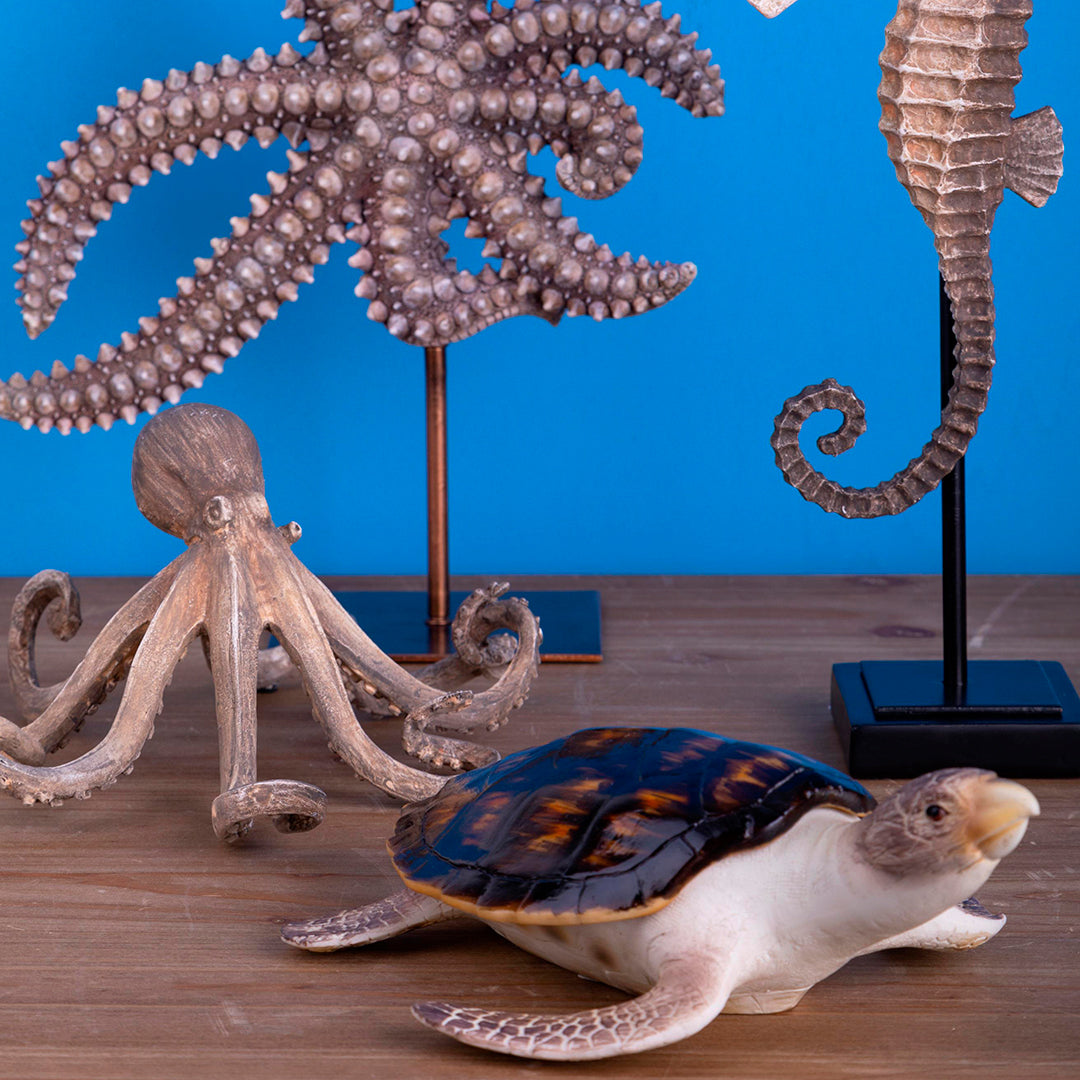 Tartaruga marina • 24 cm