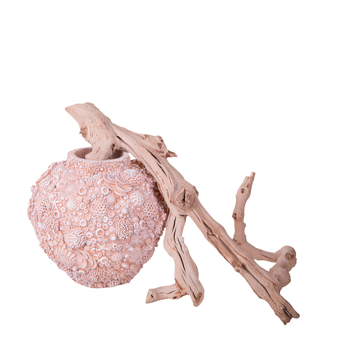 Decorazione marina Anfora con Conchiglie • 20 cm