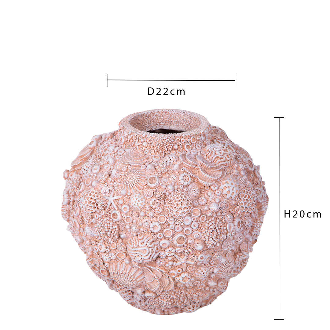 Decorazione marina Anfora con Conchiglie • 20 cm