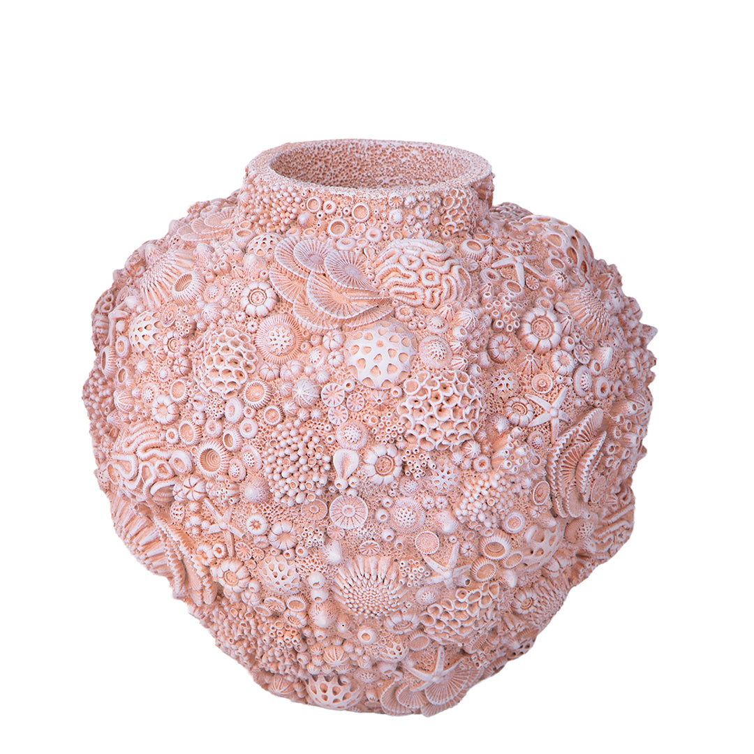 Decorazione marina Anfora con Conchiglie • 20 cm