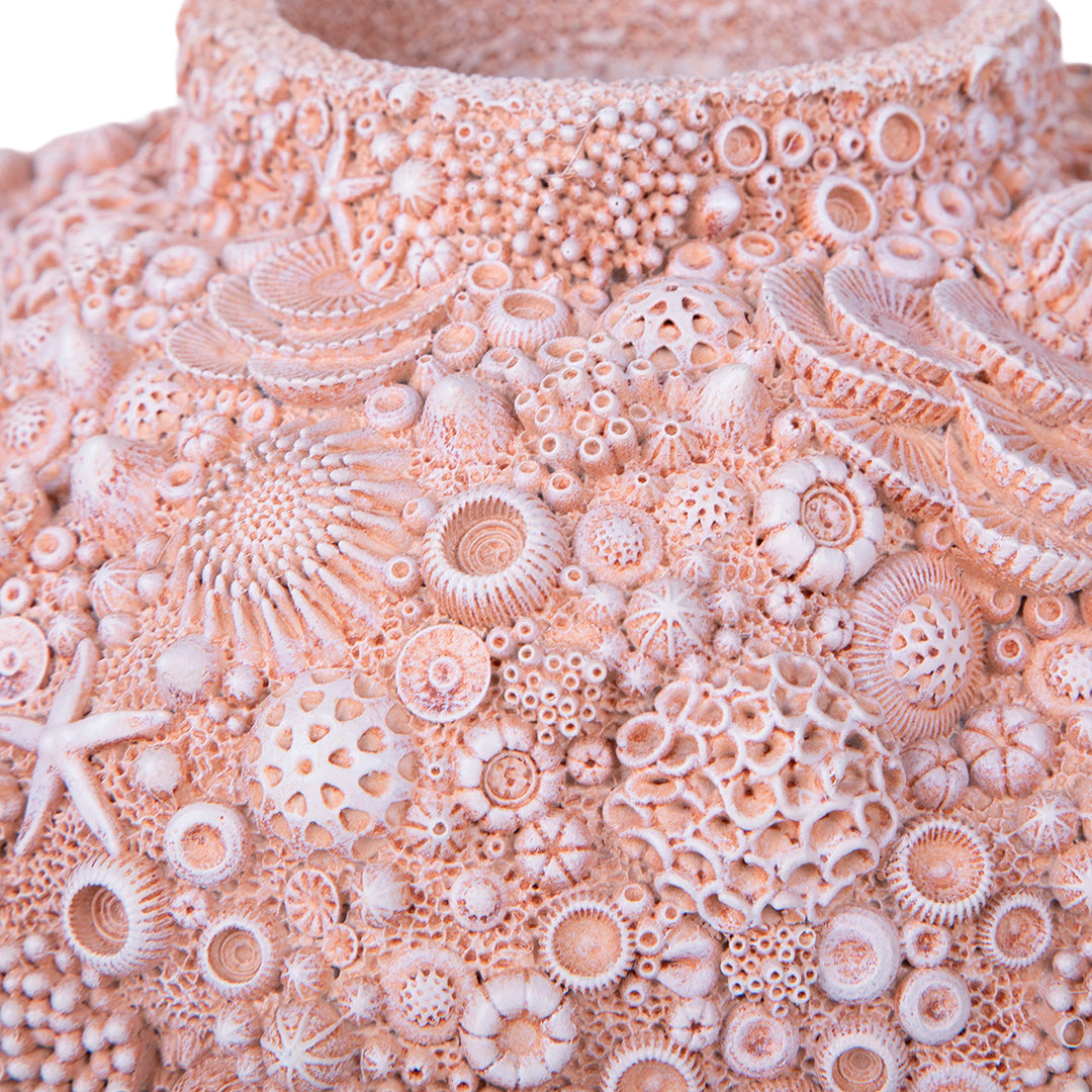 Decorazione marina Anfora con Conchiglie • 20 cm