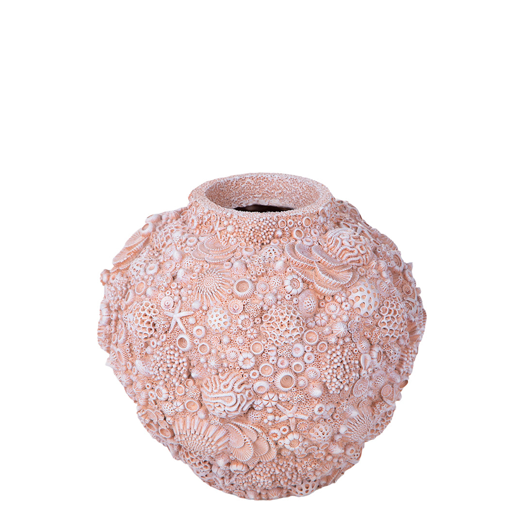 Decorazione marina Anfora con Conchiglie • 20 cm