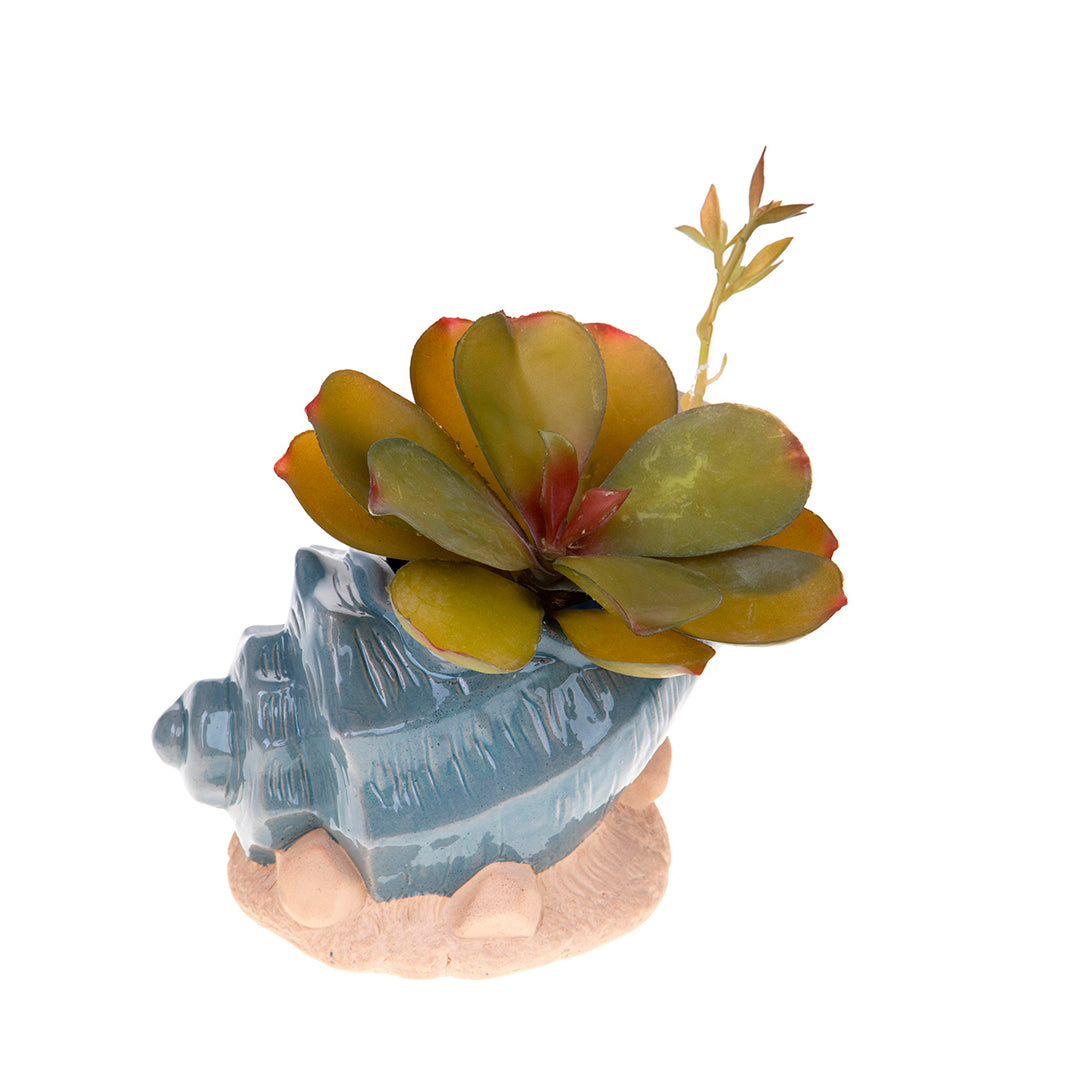 Vaso conchiglia con base • 11 cm