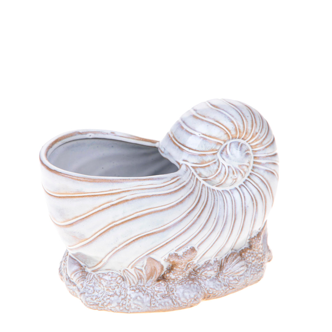 Vaso conchiglia con base • 14 cm