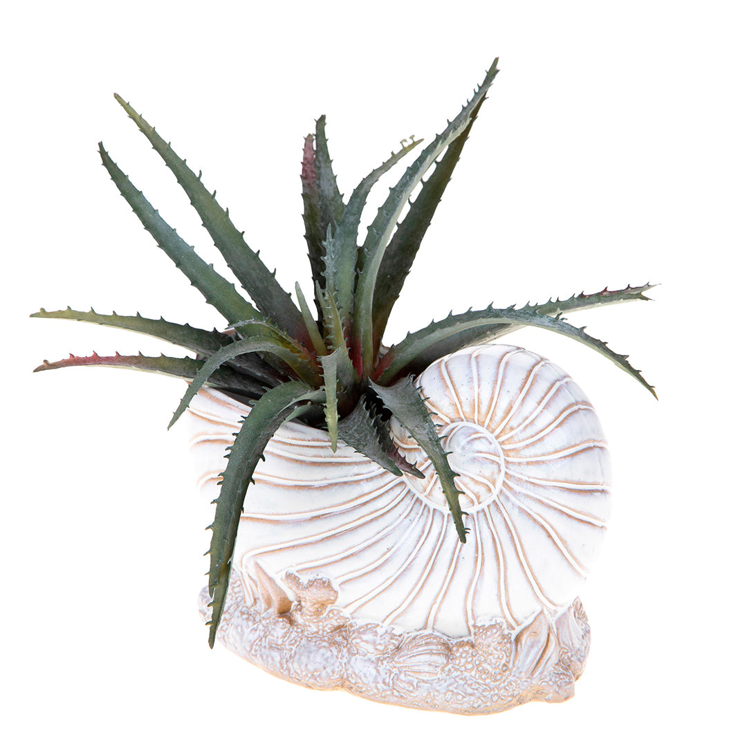 Vaso conchiglia con base • 14 cm