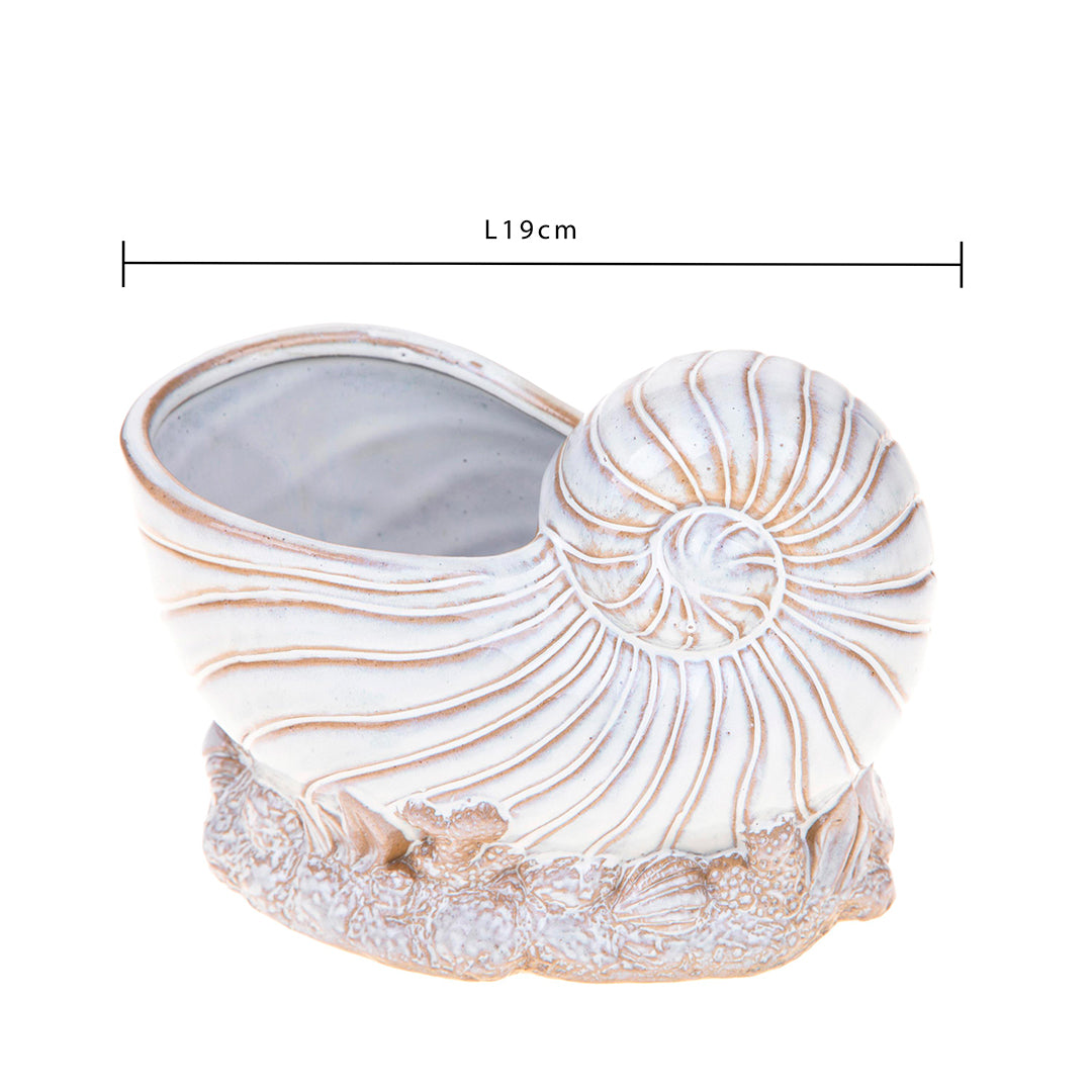 Vaso conchiglia con base • 14 cm